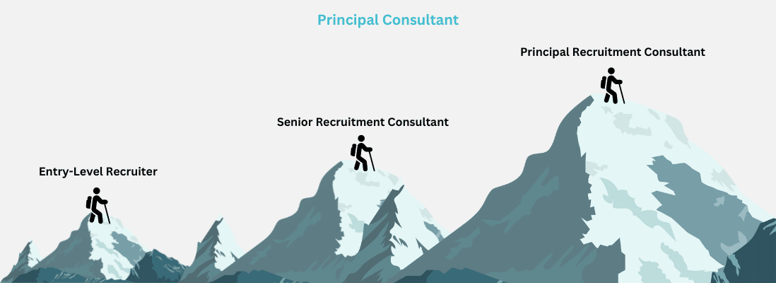 Career - Principal Consultant